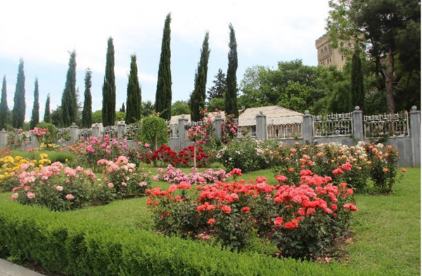 Training of qualified specialists in the field of gardening and garden design