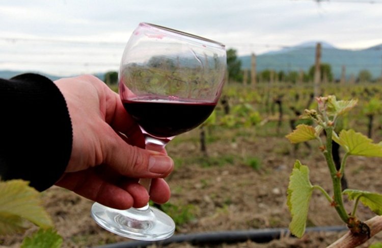 11 days of unforgettable travel through the most beautiful places in Georgia!