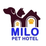 milo-pet-hotel.webp
