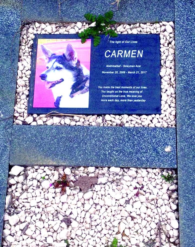 Funeral service for animals in Tbilisi