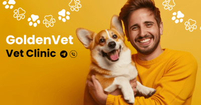 Golden-Vet-Batumi
