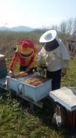 Natural honey and bee products