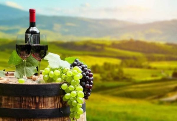 Wine tasting in Tbilisi and Kakheti