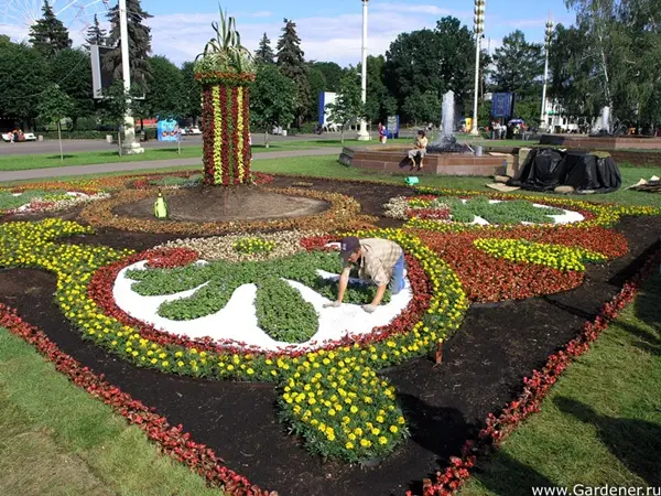 This decorative sand and crushed stone in Georgia is produced only by us.