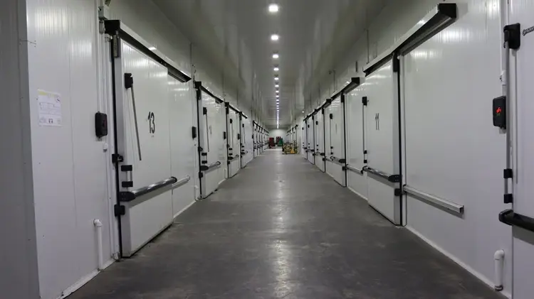 The best solution for storing perishable products is cold storage warehouses in Tbilisi.