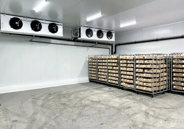 The best solution for storing perishable products is cold storage warehouses in Tbilisi.