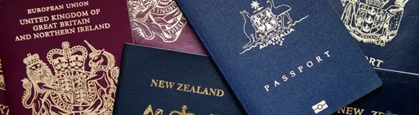 Immigration and visas. Immigration lawyer