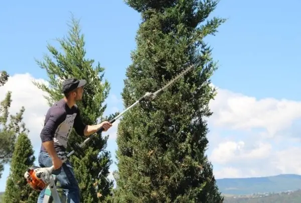 Training of qualified specialists in the field of gardening and garden design