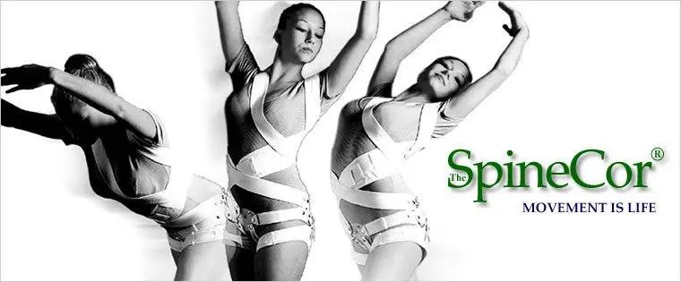 Prosthetic rehabilitation and orthopedic services.