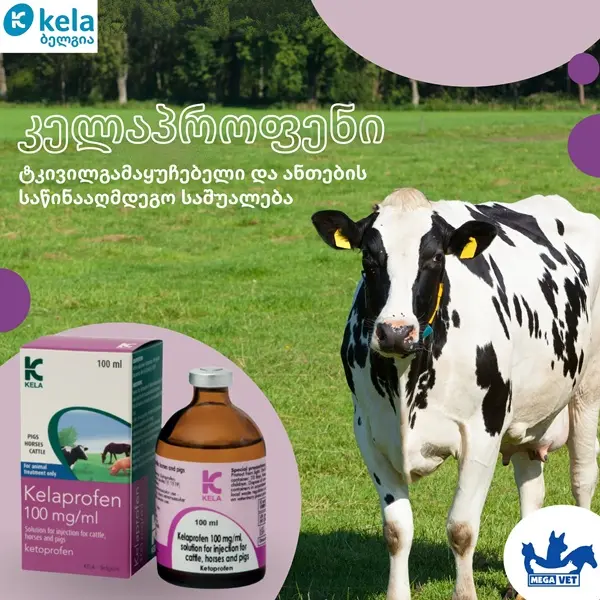 Leader of the Georgian veterinary market since 1996