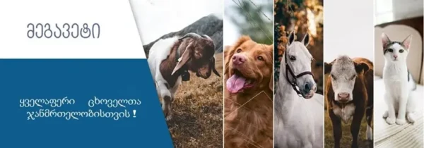 Leader of the Georgian veterinary market since 1996