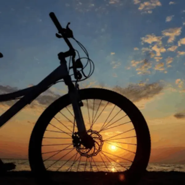 Online store of equipment for tourism and active recreation