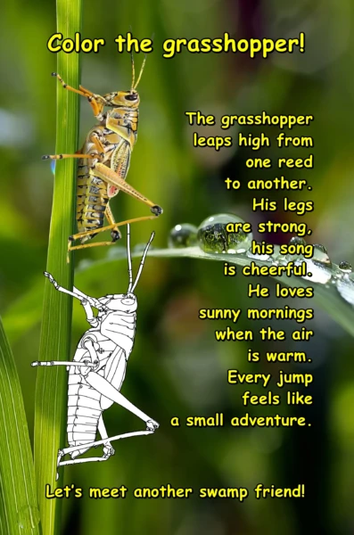 The Living Swamp: A realistic coloring book for children aged 6-8.