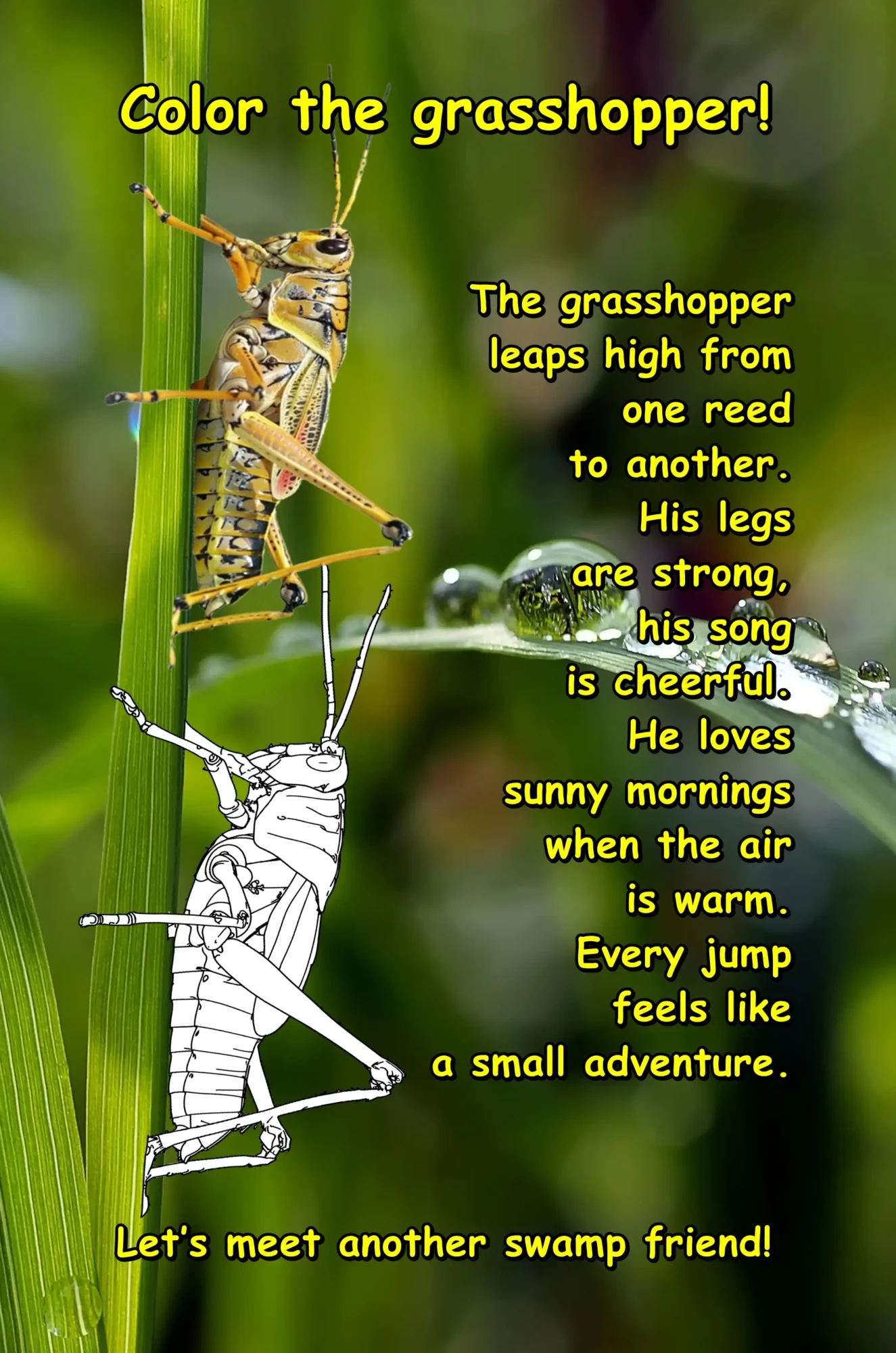 The Living Swamp: A realistic coloring book for children aged 6-8.