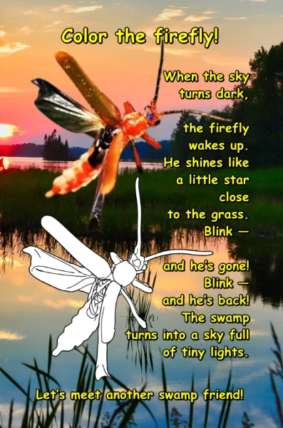 The Living Swamp: A realistic coloring book for children aged 6-8.