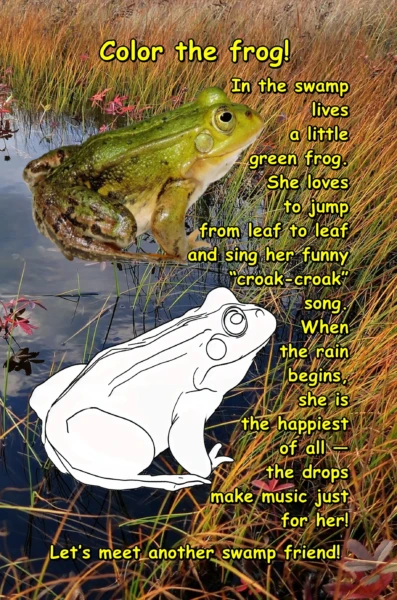 The Living Swamp: A realistic coloring book for children aged 6-8.