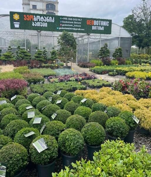 GeoBotanic Batumi Garden Center